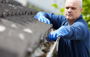 cleaning and inspecting Smalley Green roofs